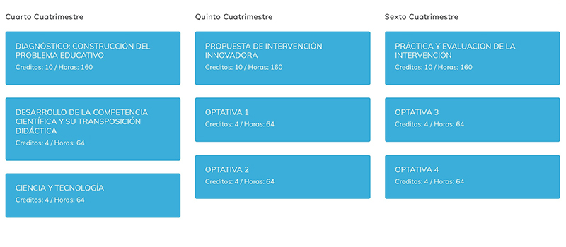 MAPA CURRICULAR GESTIÓN