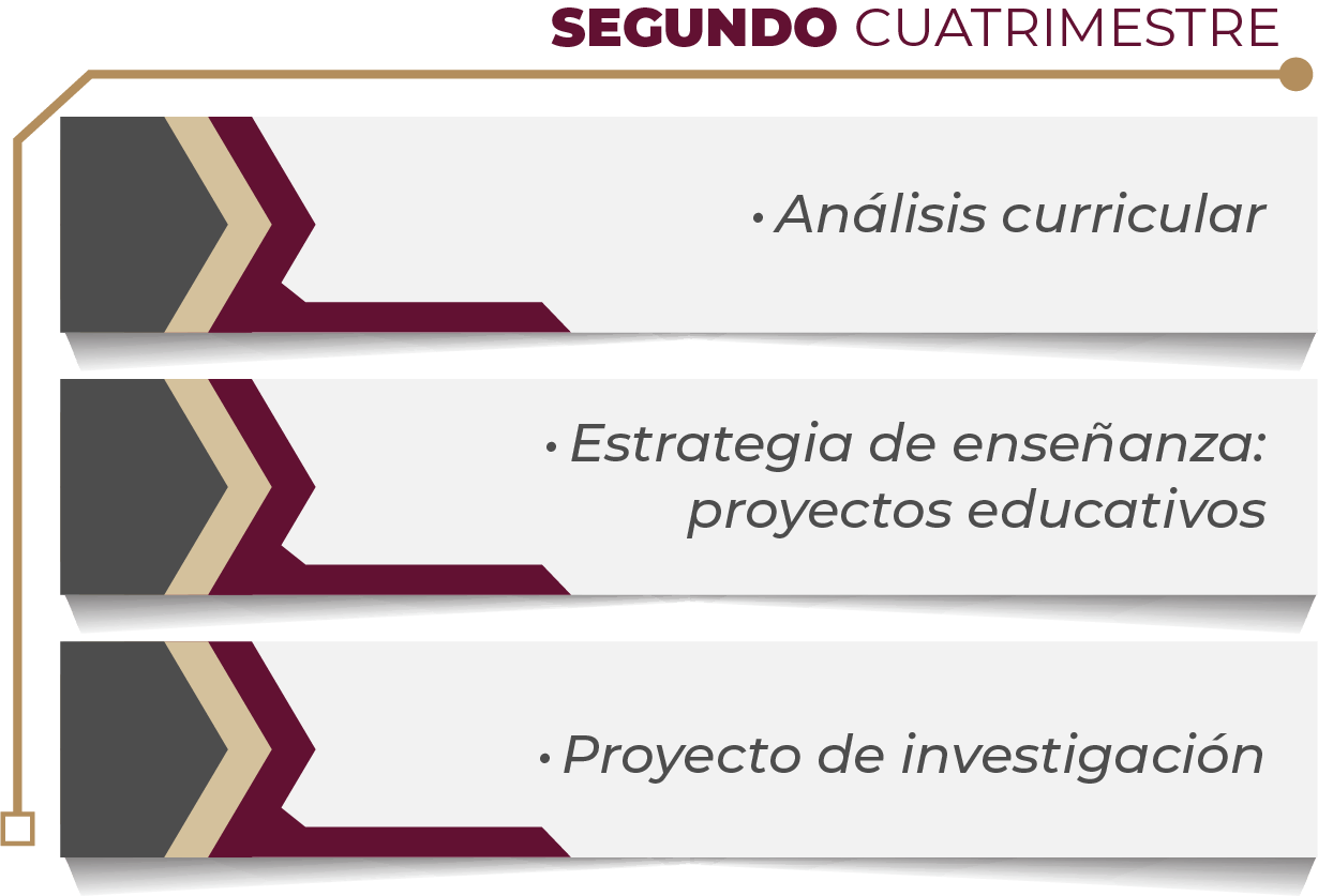 MAPA CURRICULAR GESTIÓN